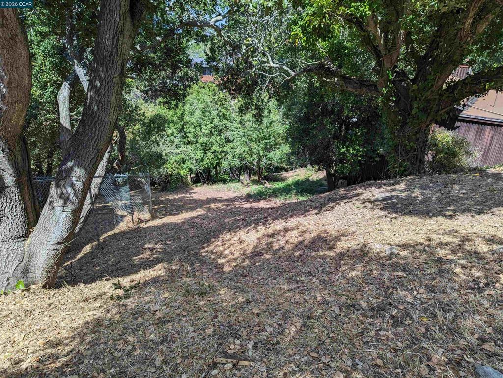 1110 Sterling Ave Property Photo 21