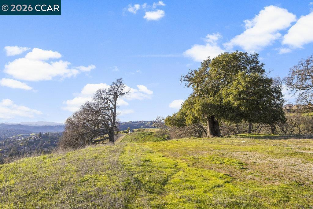 0 Caballo Ranchero Property Photo 13