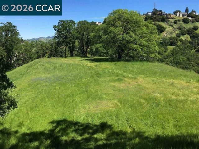 283 Castle Hill Ranch Rd Property Photo 16