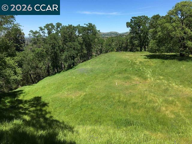 283 Castle Hill Ranch Rd Property Photo 17