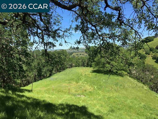 283 Castle Hill Ranch Rd Property Photo 18