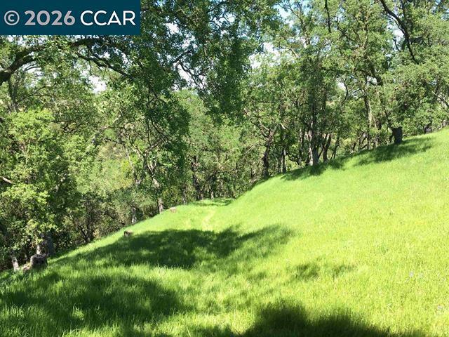 283 Castle Hill Ranch Rd Property Photo 19