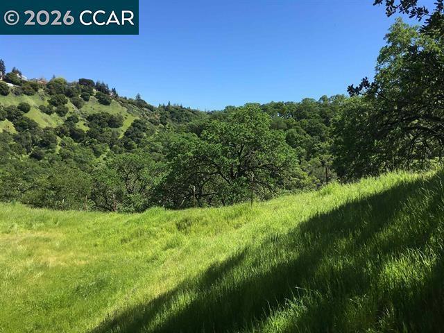 283 Castle Hill Ranch Rd Property Photo 20