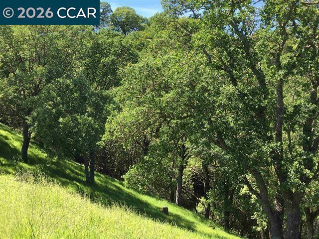 283 Castle Hill Ranch Rd Property Photo 21