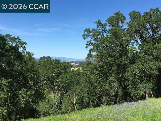 283 Castle Hill Ranch Rd Property Photo 22