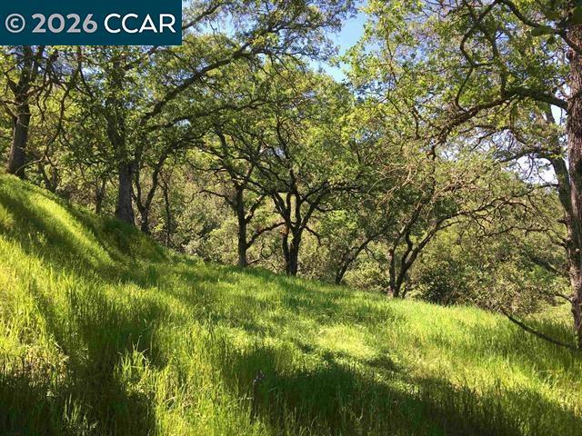283 Castle Hill Ranch Rd Property Photo 23