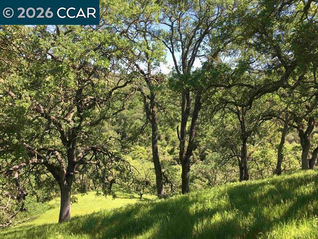 283 Castle Hill Ranch Rd Property Photo 24
