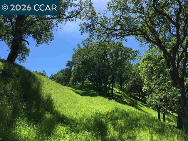283 Castle Hill Ranch Rd Property Photo 25