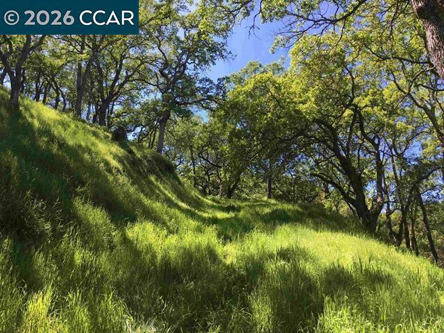 283 Castle Hill Ranch Rd Property Photo 26