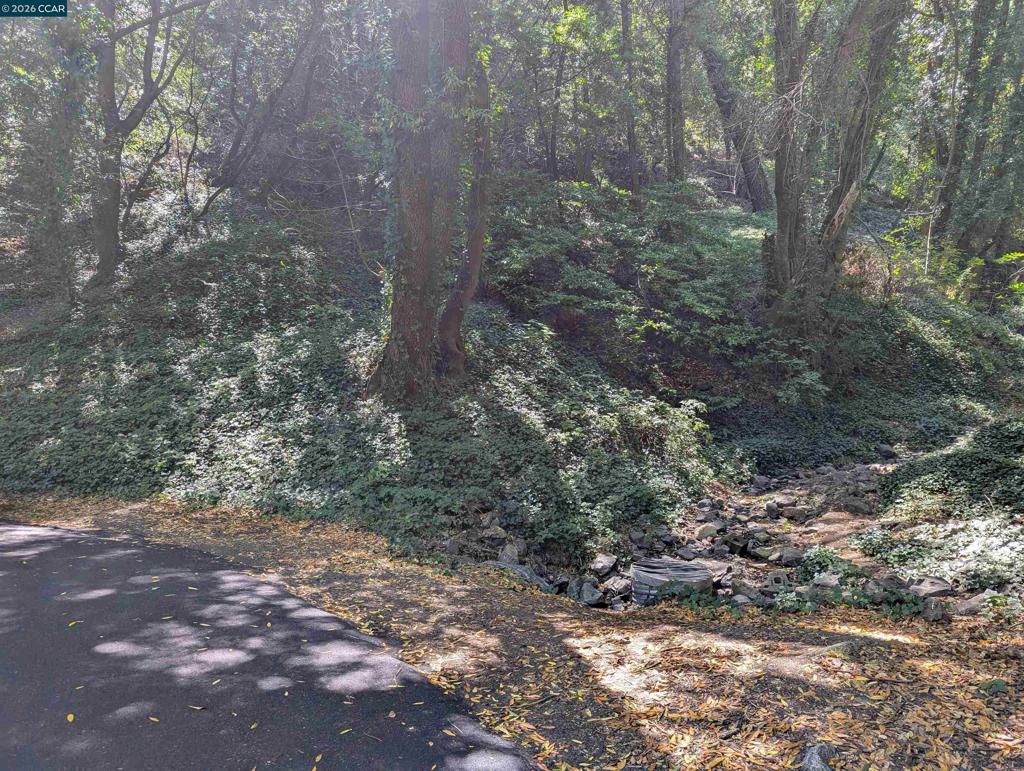 0 Cañon Dr Property Photo 4