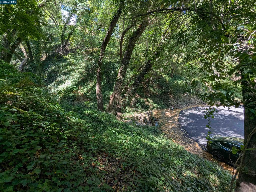 0 Cañon Dr Property Photo 10