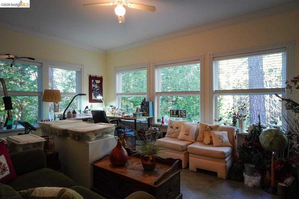 17400 Mount Elizabeth Property Photo 21
