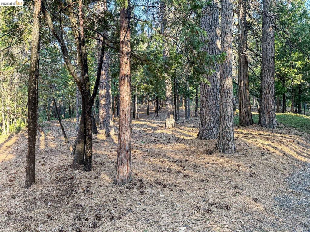 17400 Mount Elizabeth Property Photo 37