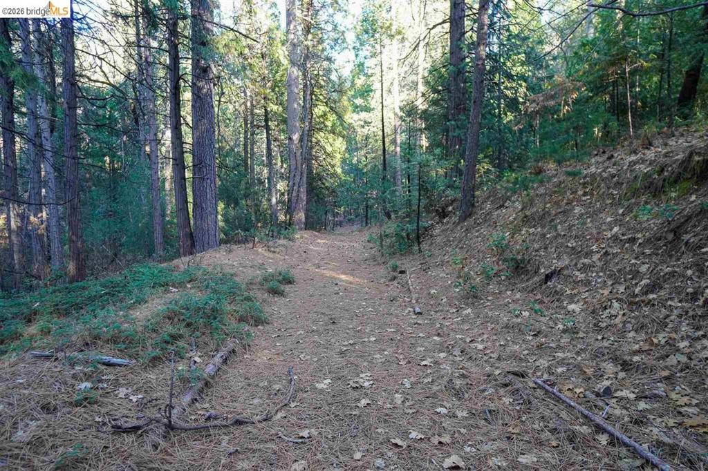 17400 Mount Elizabeth Property Photo 38