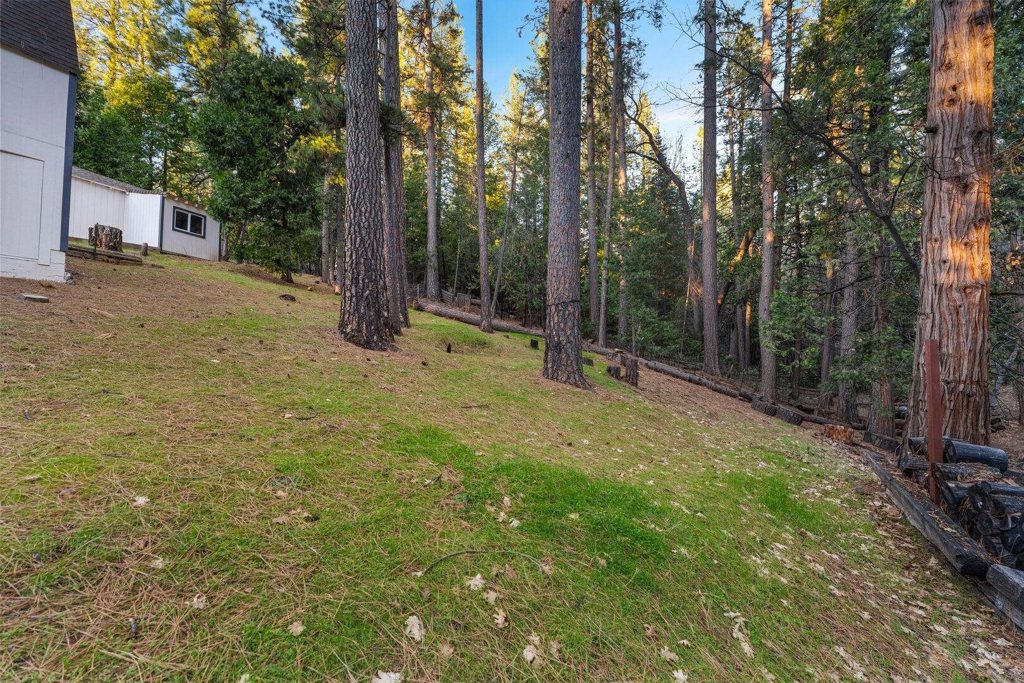 5841 Fallen Oak Trl Property Photo 52