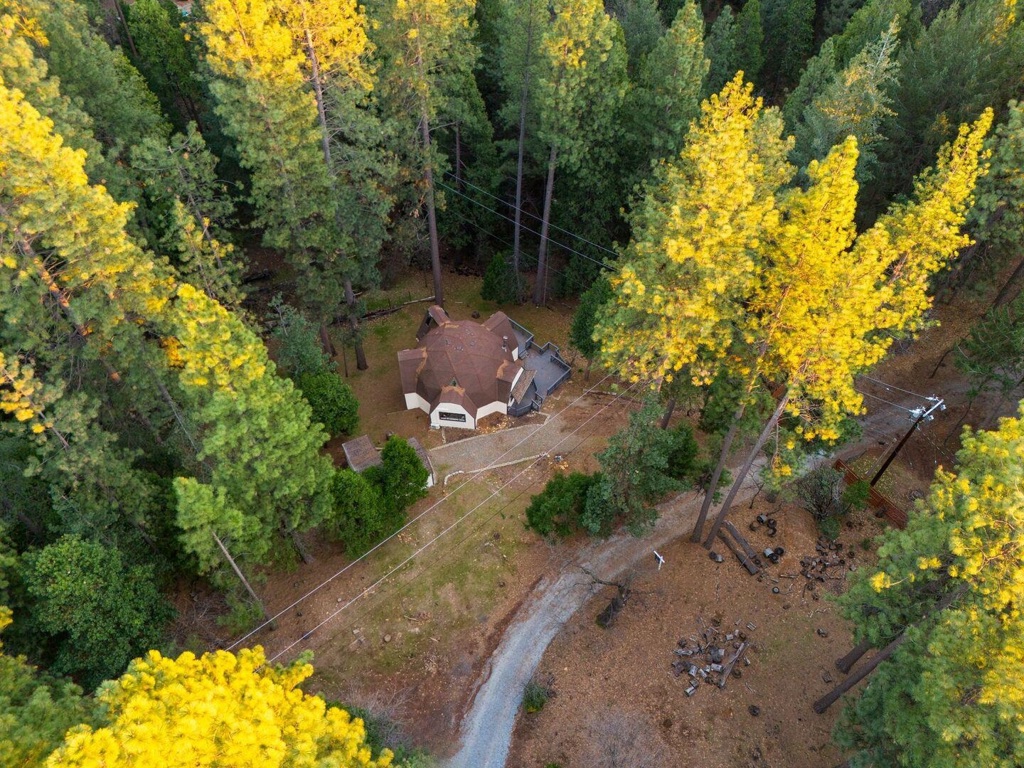 5841 Fallen Oak Trl Property Photo 55