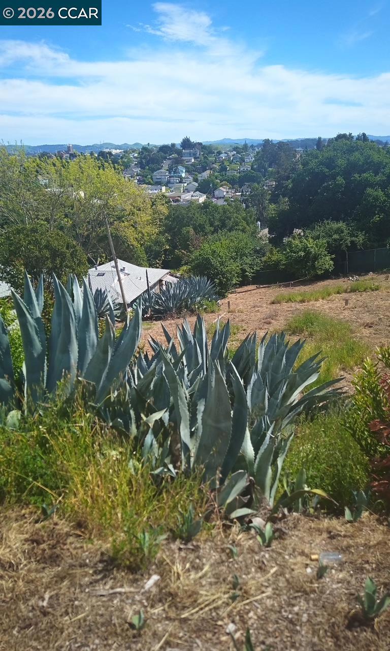 Hitchborn Property Photo 1