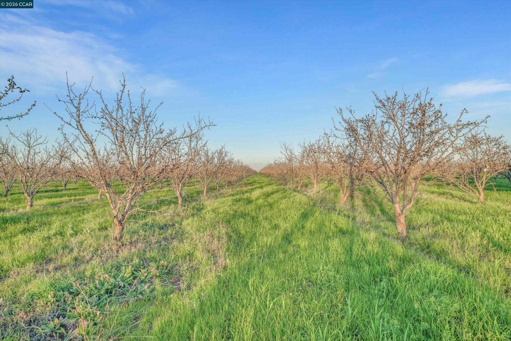 7760 Byron Hwy Property Photo 42