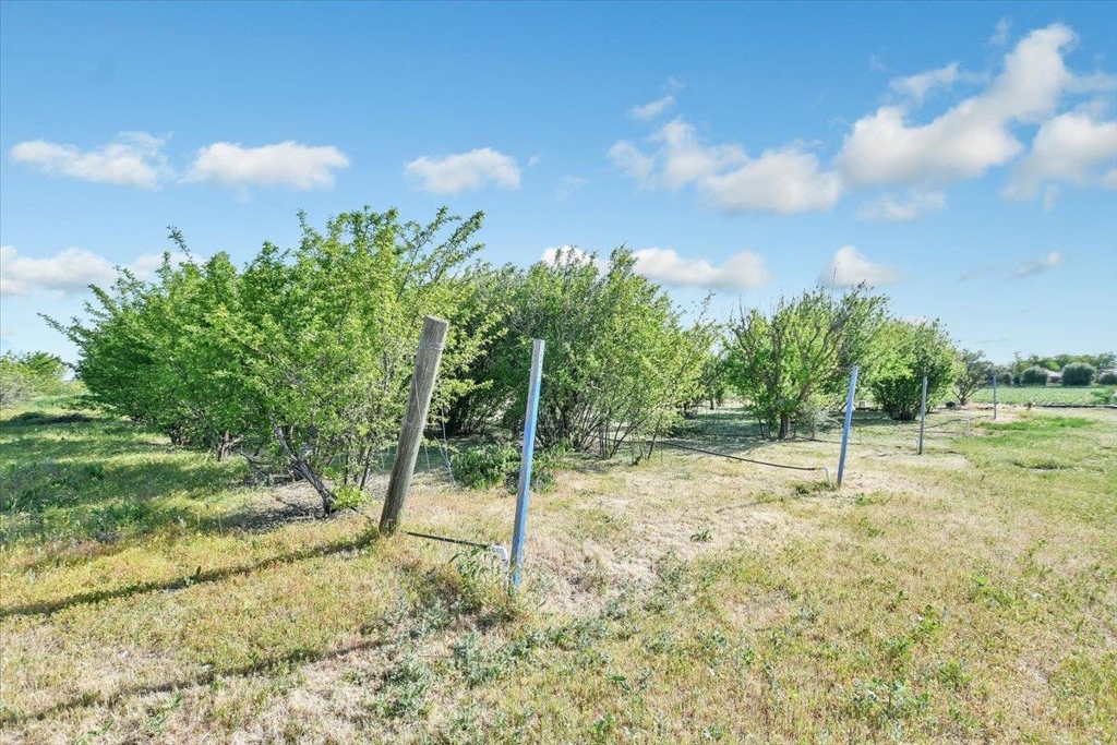 8091 Balfour Rd Property Photo 31