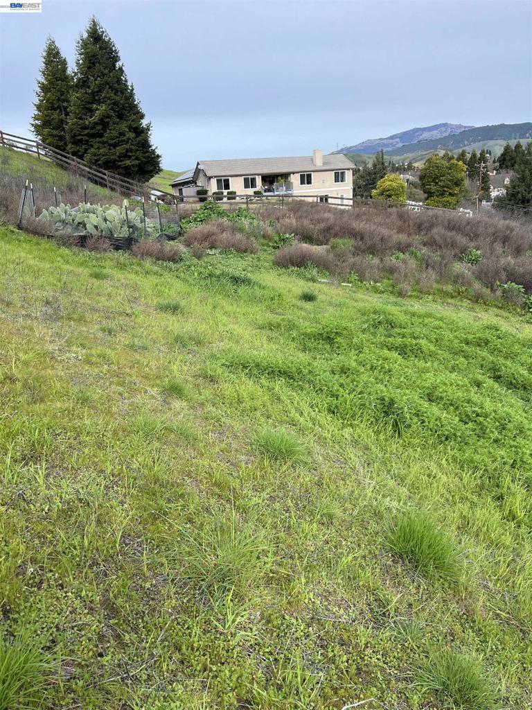 1388 Lawrence Rd Property Photo 15