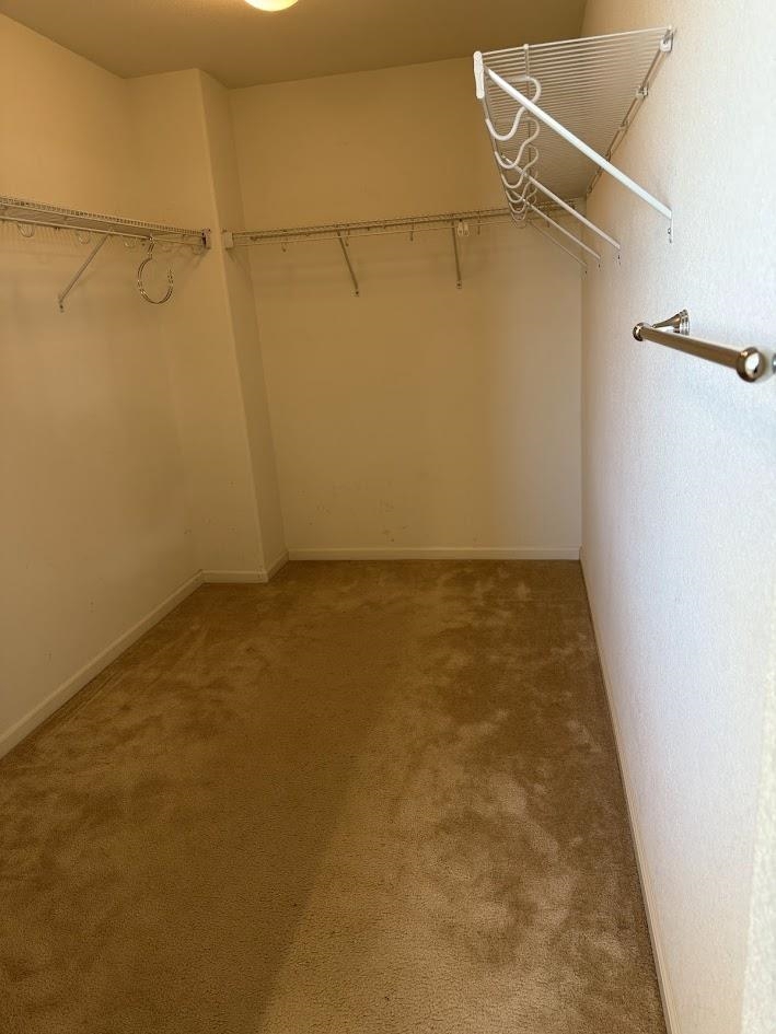 236 Cogburn Way Property Photo 7