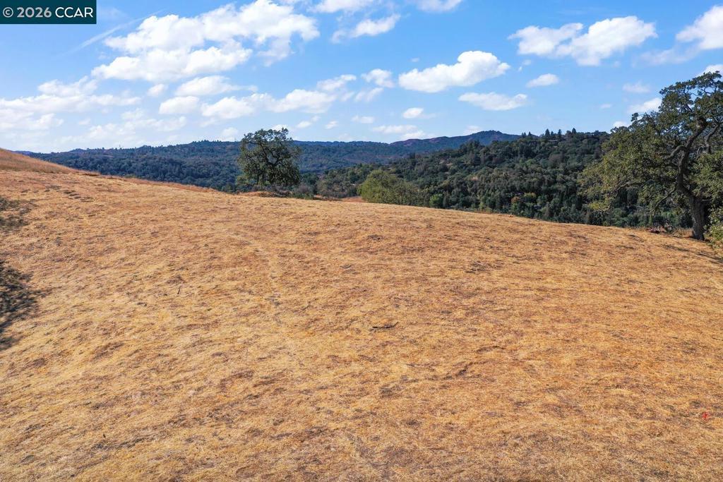 1240 Monticello Rd. Property Photo 25
