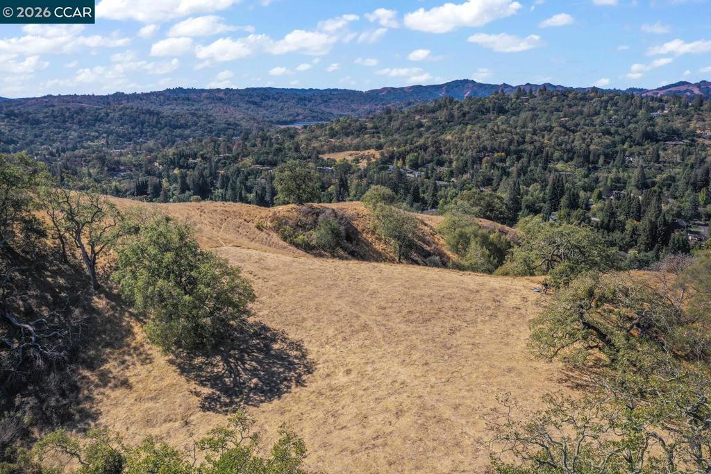 1240 Monticello Rd. Property Photo 26