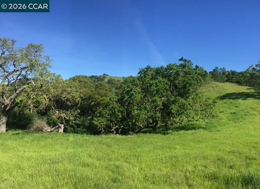 1240 Monticello Rd. Property Photo 27