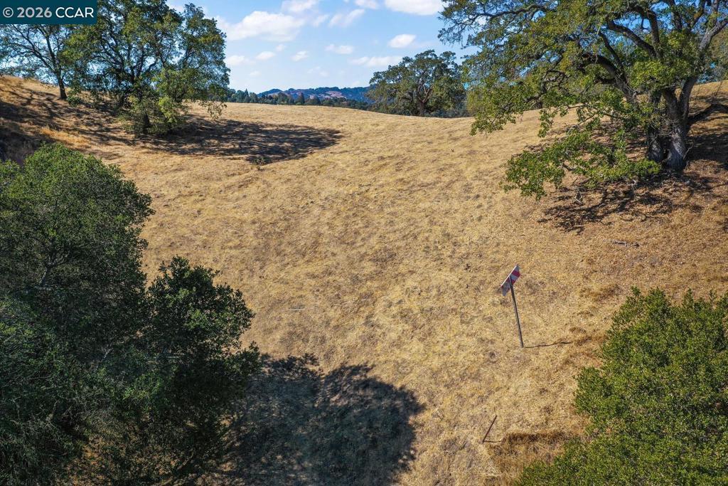 1240 Monticello Rd. Property Photo 29