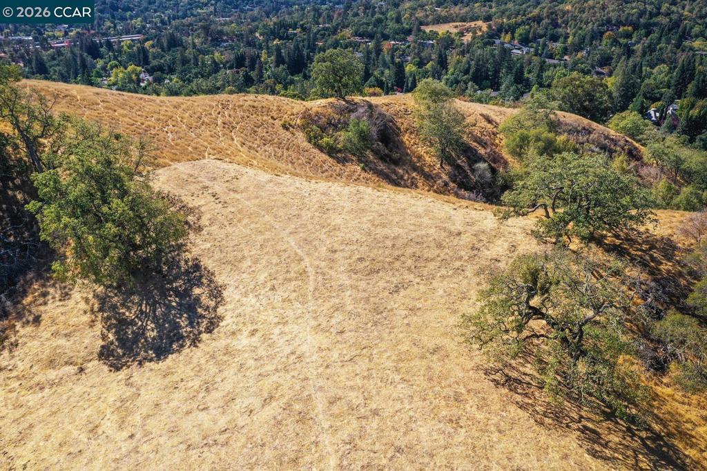 1240 Monticello Rd. Property Photo 34