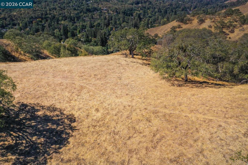 1240 Monticello Rd. Property Photo 35