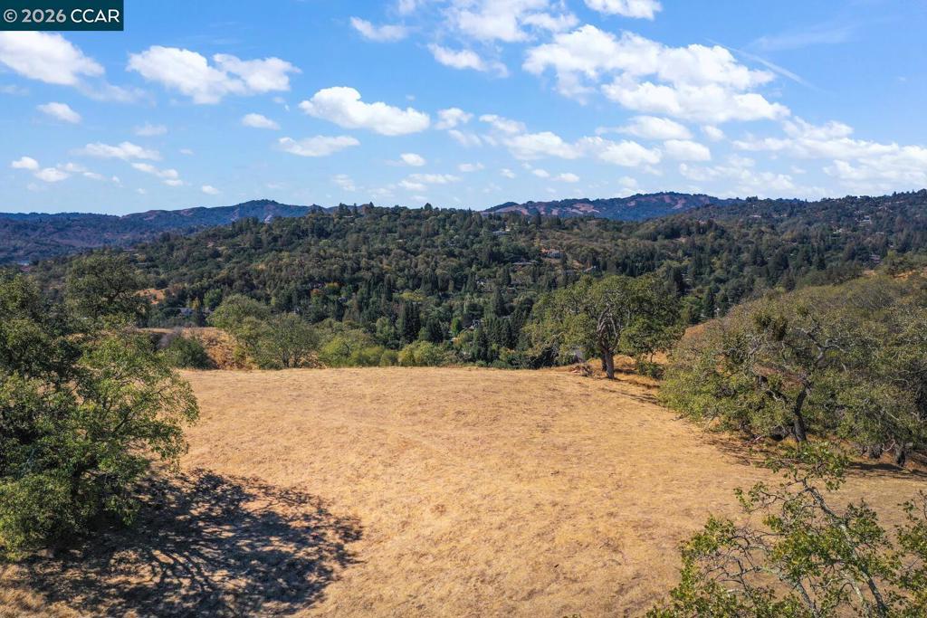 1240 Monticello Rd. Property Photo 36
