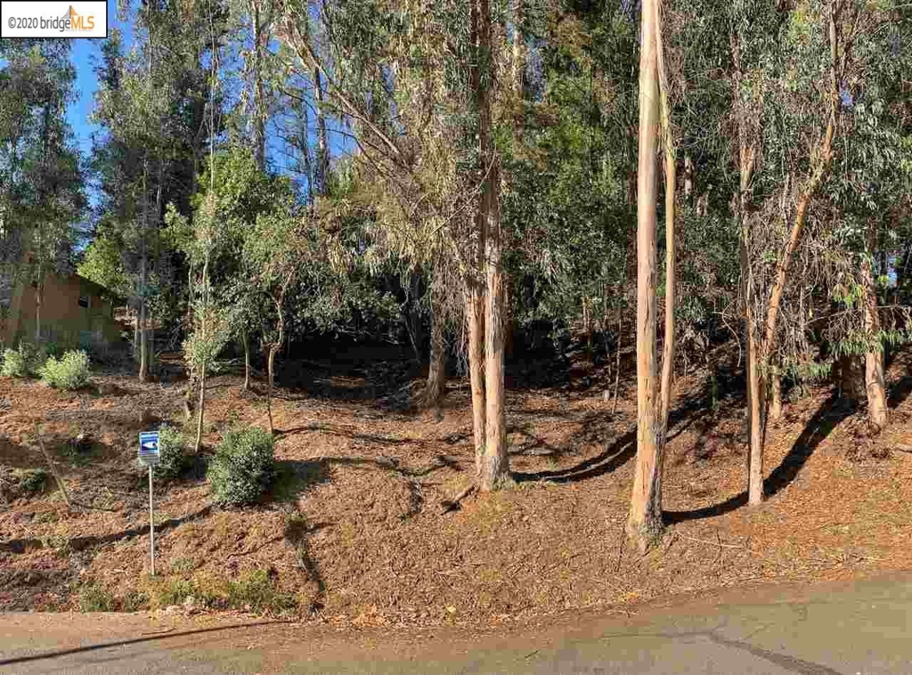 6698 Moore Dr Property Photo 7