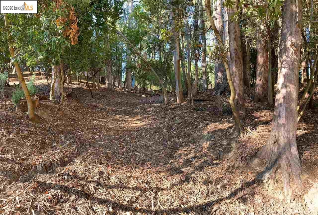 6698 Moore Dr Property Photo 10