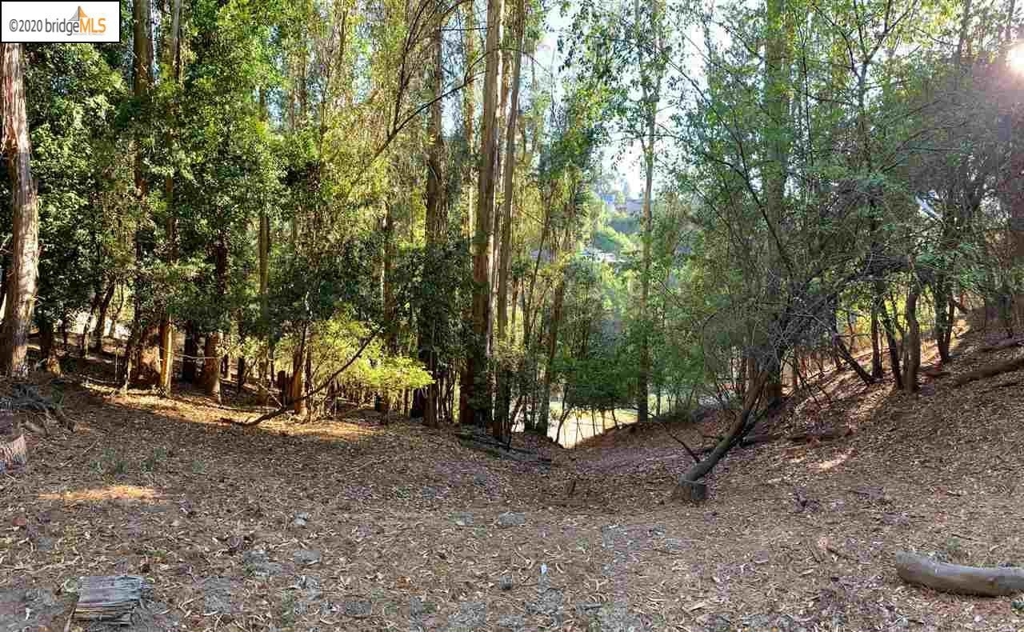 6698 Moore Dr Property Photo 13