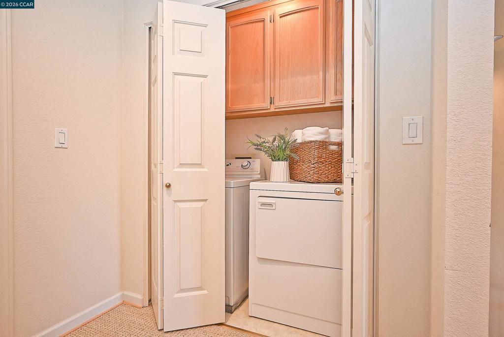 137 Haslemere Property Photo 26