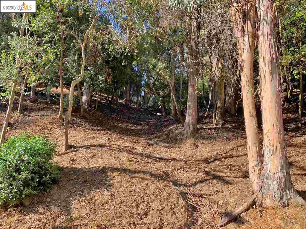 6696 Moore Dr Property Photo 5