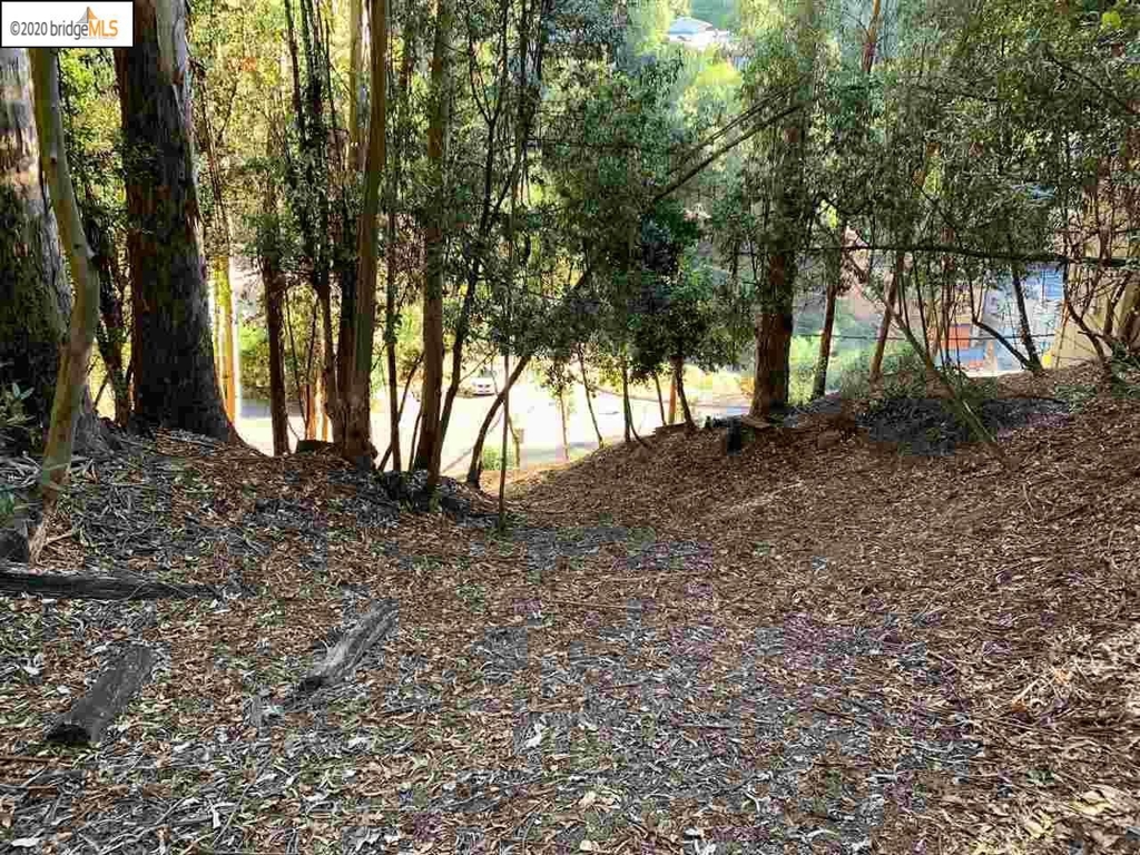 6696 Moore Dr Property Photo 9