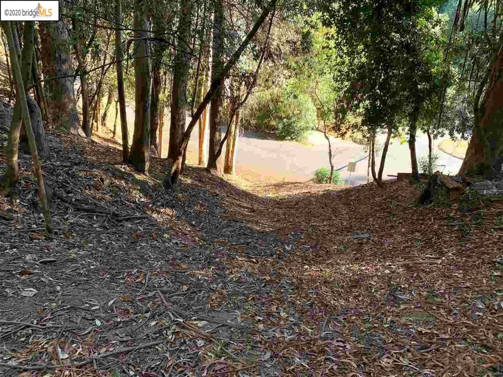 6696 Moore Dr Property Photo 10