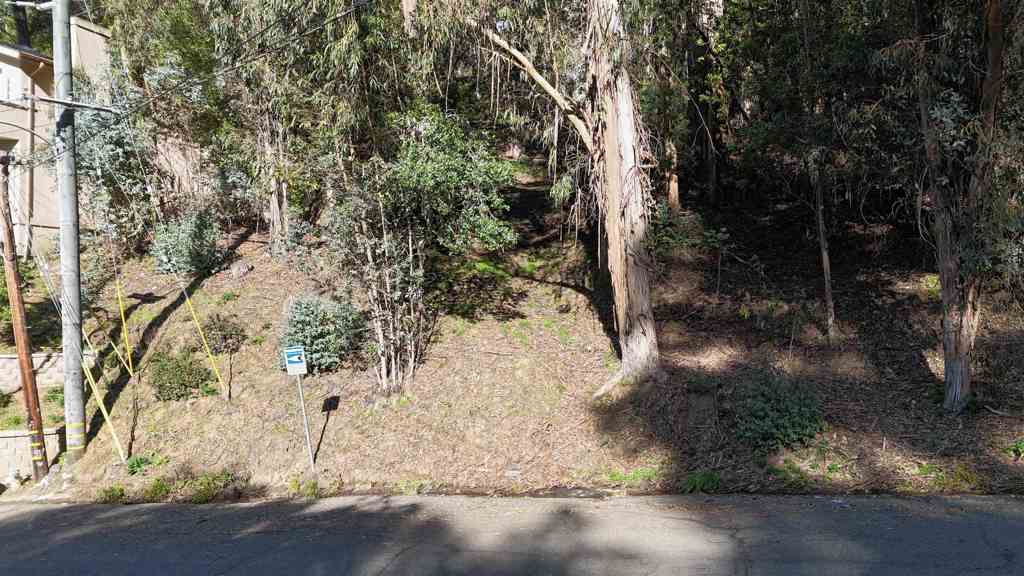 6696 Moore Dr Property Photo 12