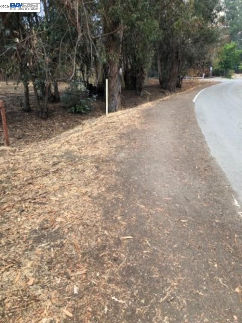 0 Morrison Canyon Rd Property Photo 13