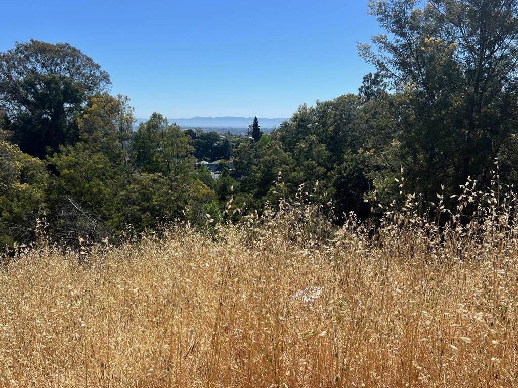 3257 Monterey Blvd. Property Photo 4