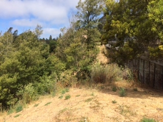 3257 Monterey Blvd. Property Photo 12