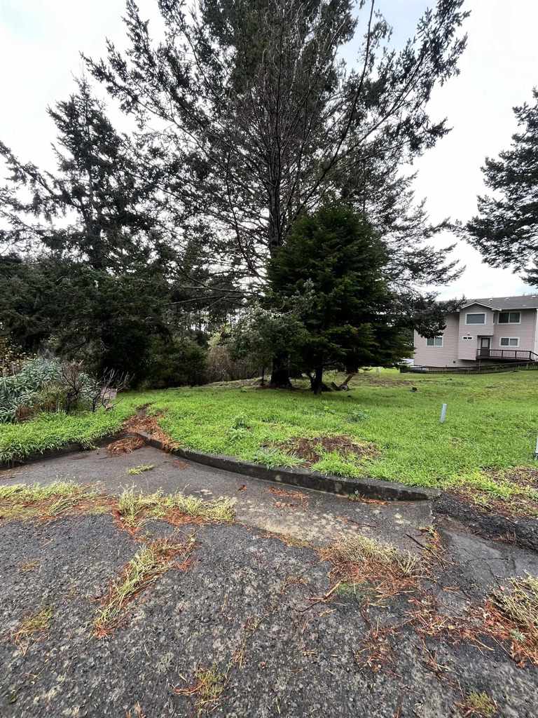 22 Spruce Ct Property Photo 6