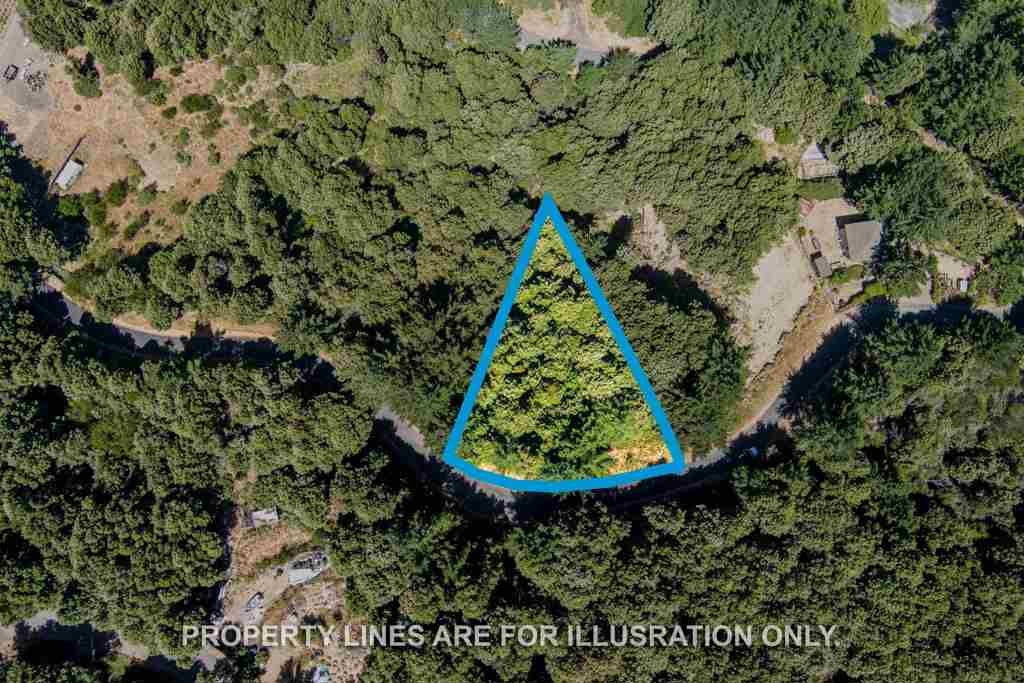 91 Walker Way Property Photo 7