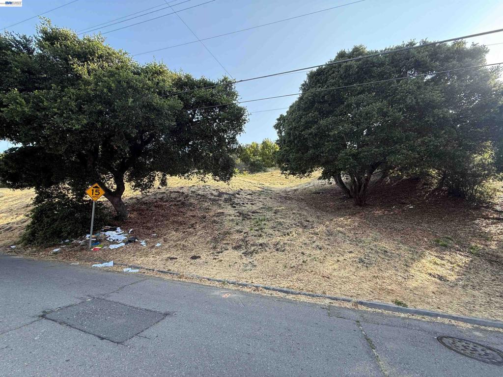 Outlook Ave Property Photo 3