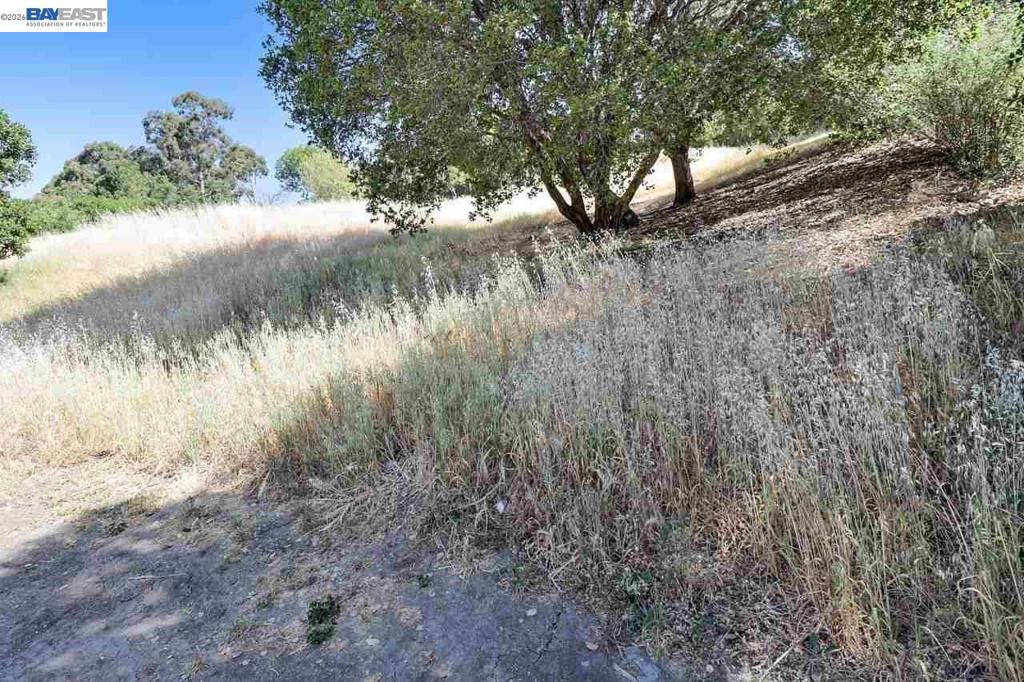 Outlook Ave Property Photo 4