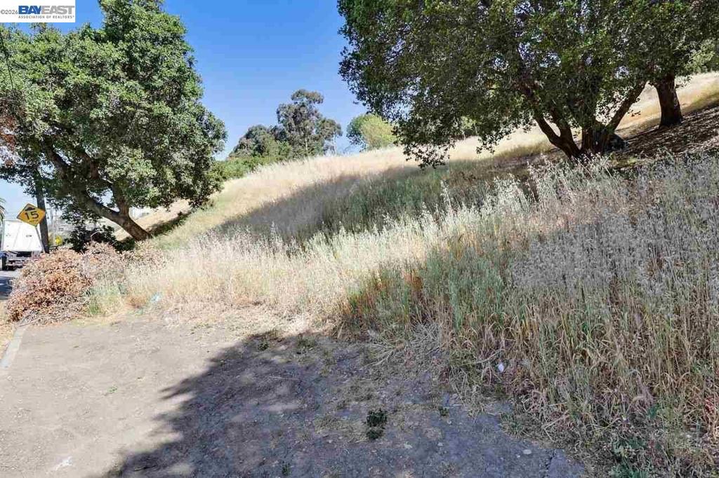 Outlook Ave Property Photo 5