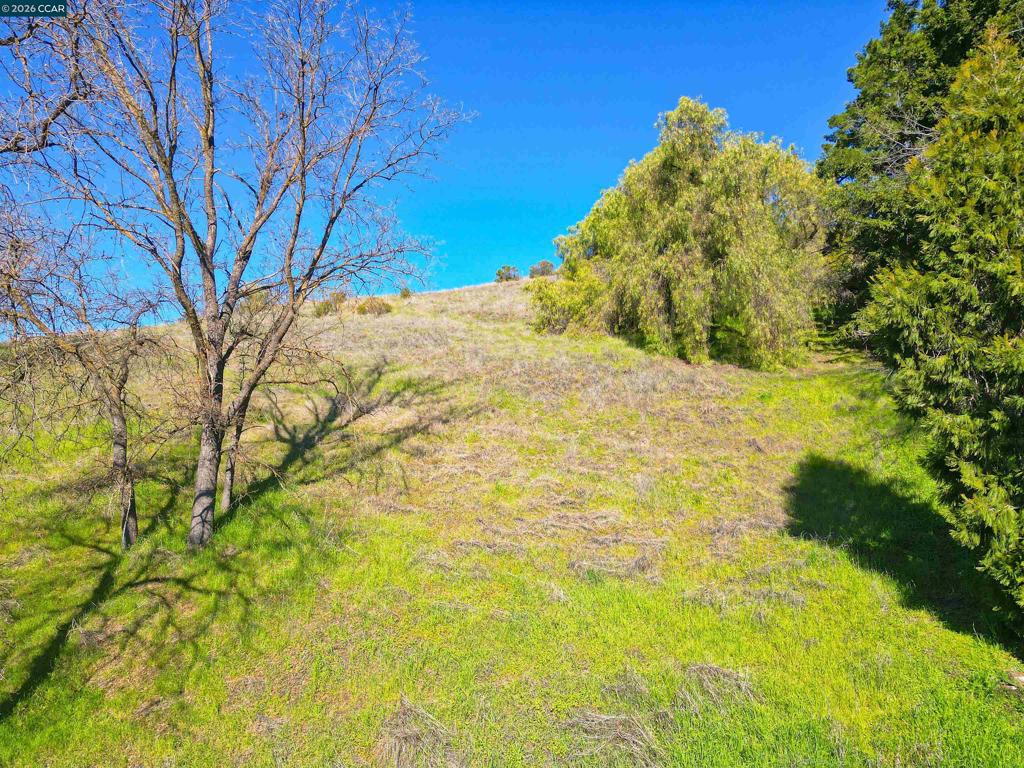2590 Caballo Ranchero Dr Property Photo 3