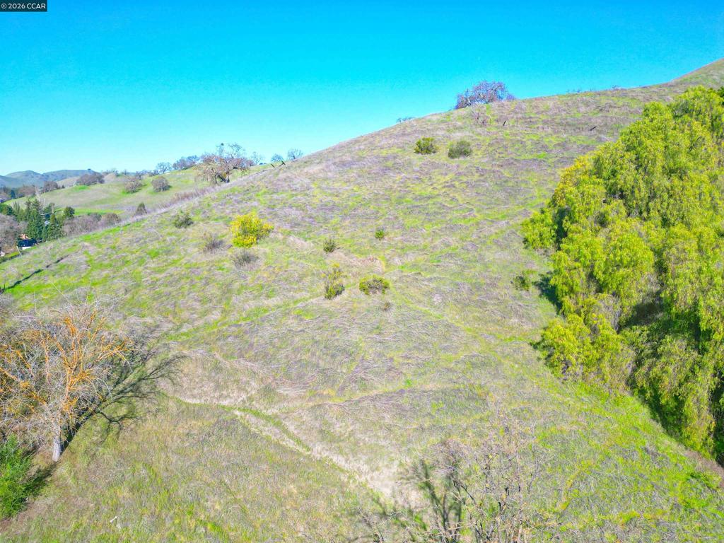 2590 Caballo Ranchero Dr Property Photo 4